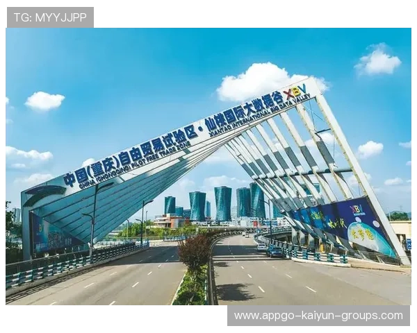 数字丝路再深化，数贸会引领多国共建，数字贸易中国方案解读