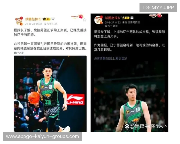 球员近期转会传闻解读,球员转会新闻 球员近期转会传闻解读,球员转会新闻