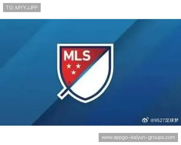 足球职业联盟是否具备执行力，足球联盟有哪些