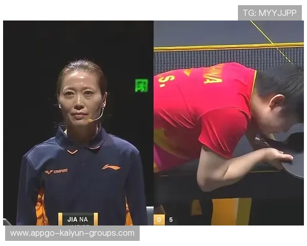 赛事裁判判罚热点解析，赛事裁判判罚热点解析图